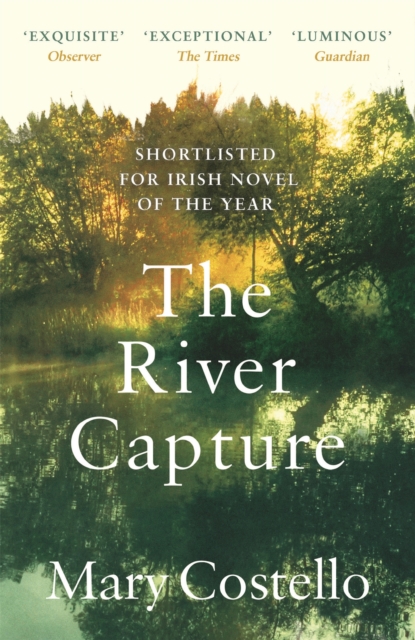 Book Cover for River Capture by Costello, Mary