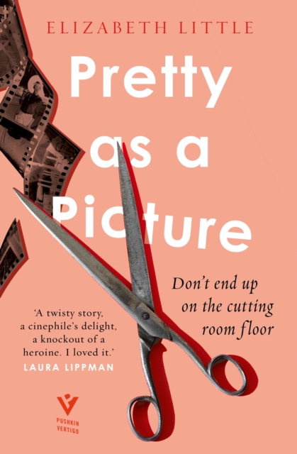 Book Cover for Pretty as a Picture by Little, Elizabeth