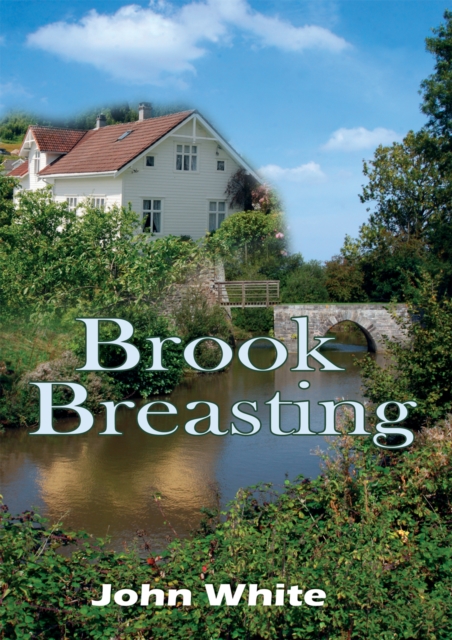 Book Cover for Brook Breasting by John White