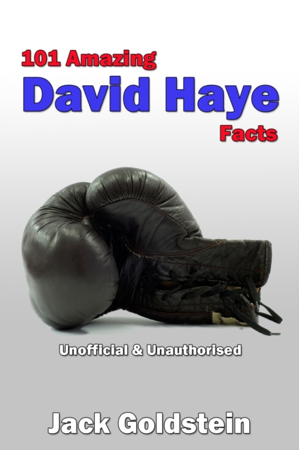 Book Cover for 101 Amazing David Haye Facts by Jack Goldstein