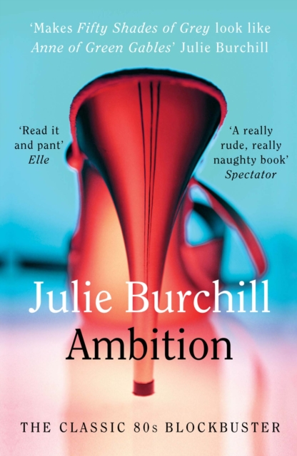 Book Cover for Ambition by Burchill, Julie