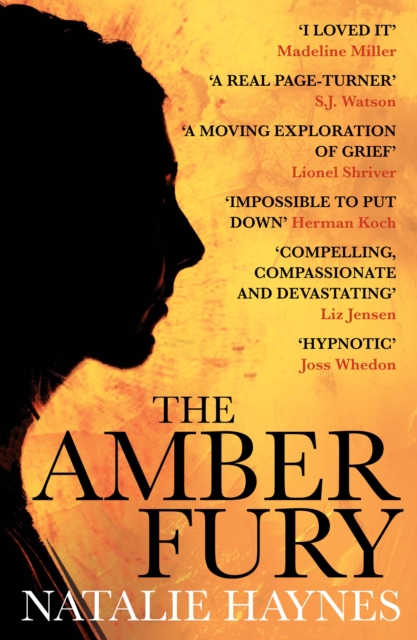 Book Cover for Amber Fury by Haynes, Natalie