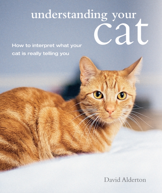 Book Cover for Understanding Your Cat by David Alderton