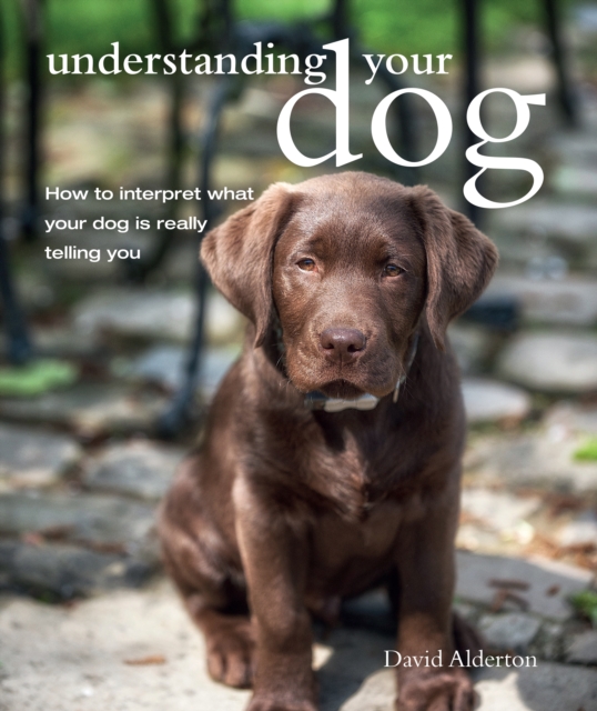 Book Cover for Understanding Your Dog by David Alderton