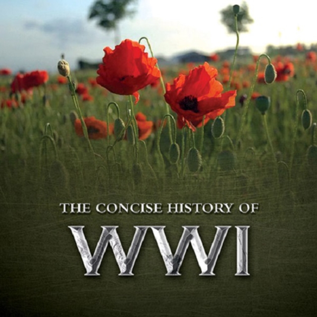 Book Cover for Consise History of WWI by Pat Morgan