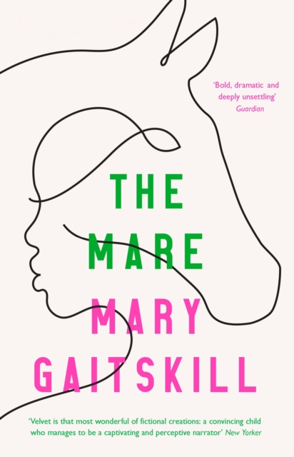 Book Cover for Mare by Mary Gaitskill