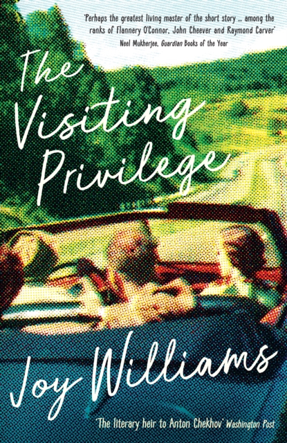 Book Cover for Visiting Privilege by Joy Williams