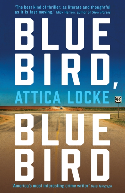 Book Cover for Bluebird, Bluebird by Attica Locke