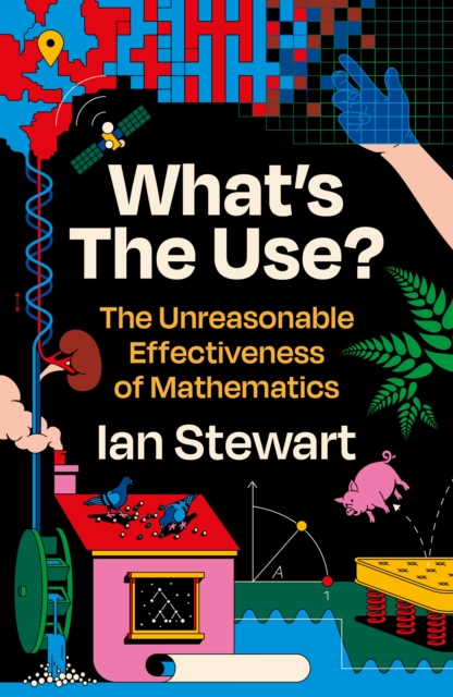 Book Cover for What's the Use? by Ian Stewart