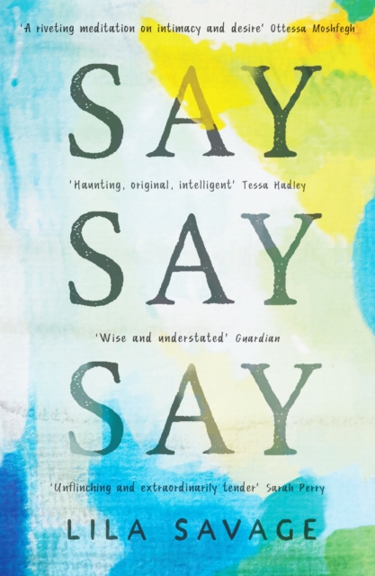 Book Cover for Say Say Say by Lila Savage