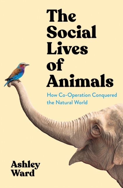 Book Cover for Social Lives of Animals by Ward, Ashley