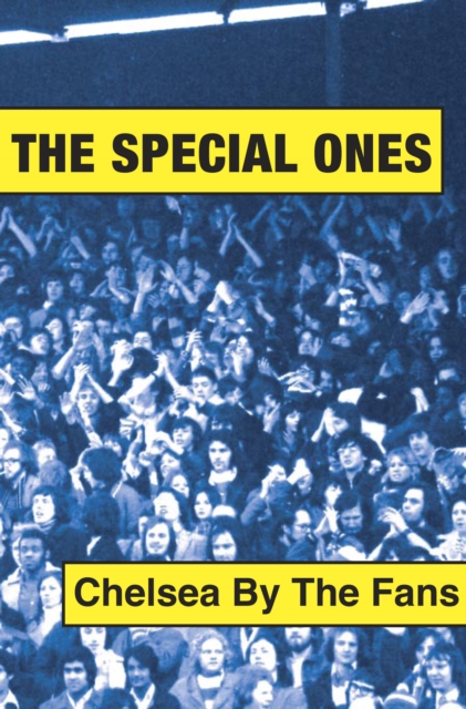 Book Cover for Special Ones by King, John