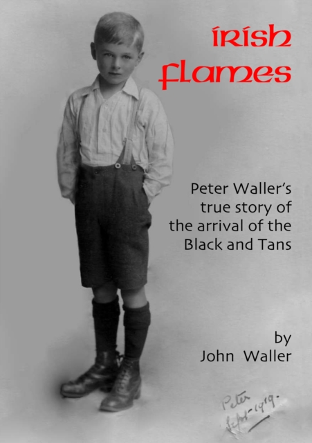 Book Cover for Irish Flames by John Waller