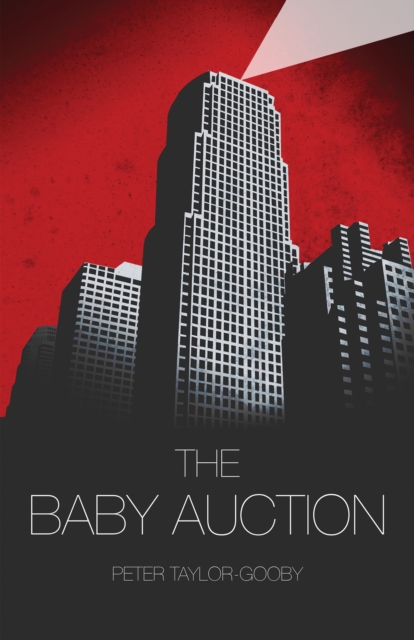 Book Cover for Baby Auction by Peter Taylor-Gooby