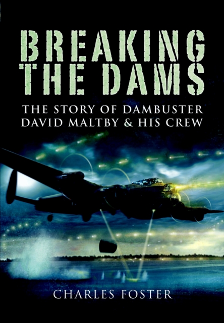 Book Cover for Breaking the Dams by Charles Foster