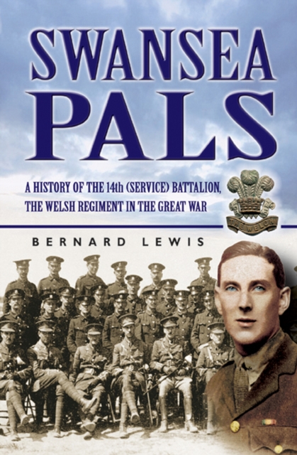 Book Cover for Swansea Pals by Bernard Lewis