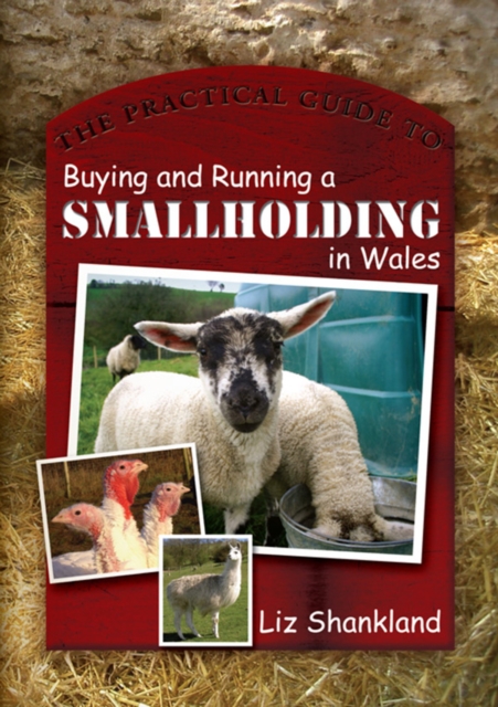 Book Cover for Practical Guide to Buying and Running a Smallholding in Wales by Shankland, Liz