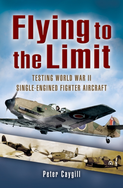 Book Cover for Flying to the Limit by Peter Caygill