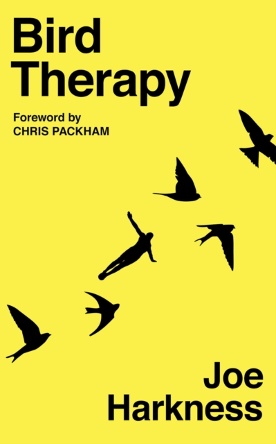 Book Cover for Bird Therapy by Harkness, Joe