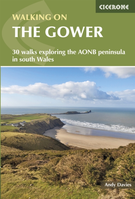 Book Cover for Walking on the Gower by Andrew Davies