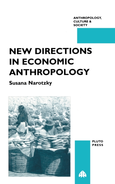 Book Cover for New Directions in Economic Anthropology by Susana Narotzky