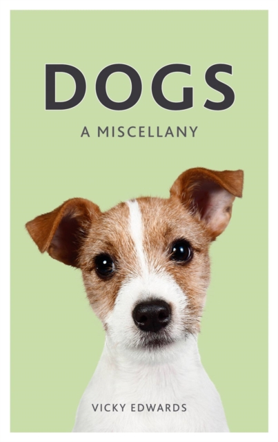 Book Cover for Dogs by Vicky Edwards