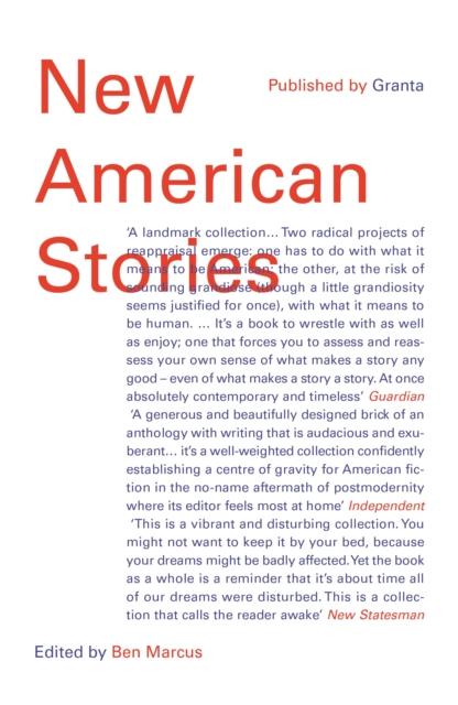 Book Cover for New American Stories by Ben Marcus