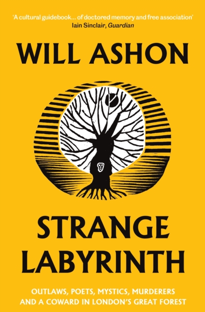 Book Cover for Strange Labyrinth by Ashon, Will