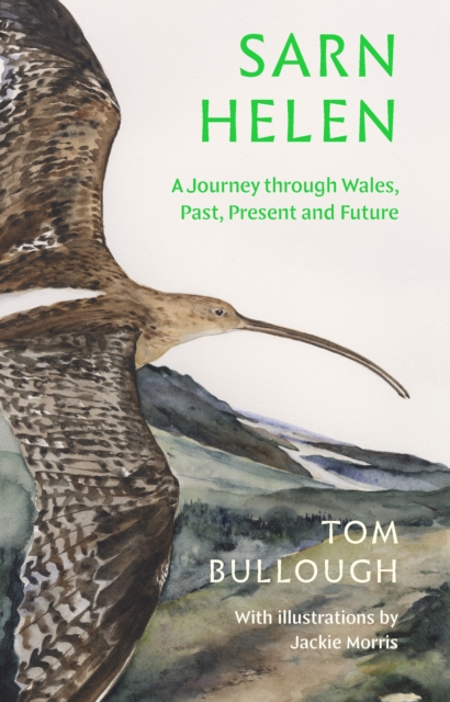 Book Cover for Sarn Helen by Bullough, Tom