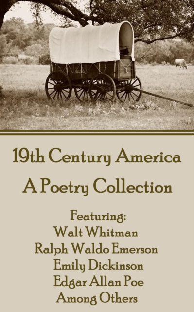 Book Cover for 19th Century America by Various Authors