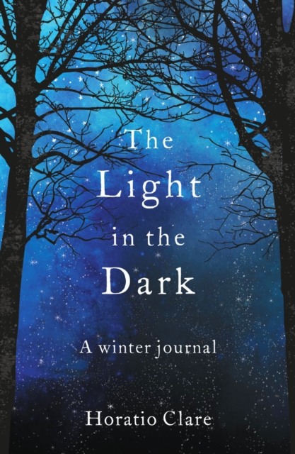 Book Cover for Light in the Dark by Horatio Clare