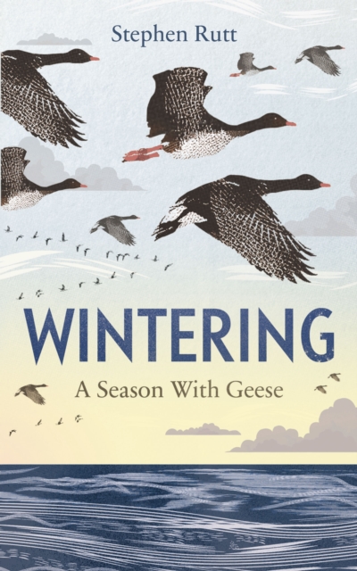Book Cover for Wintering by Stephen Rutt
