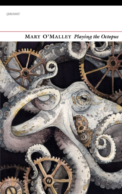 Book Cover for Playing the Octopus by Mary O'Malley