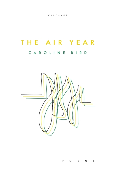 Book Cover for Air Year by Caroline Bird