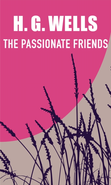 Book Cover for Passionate Friends by H. G. Wells