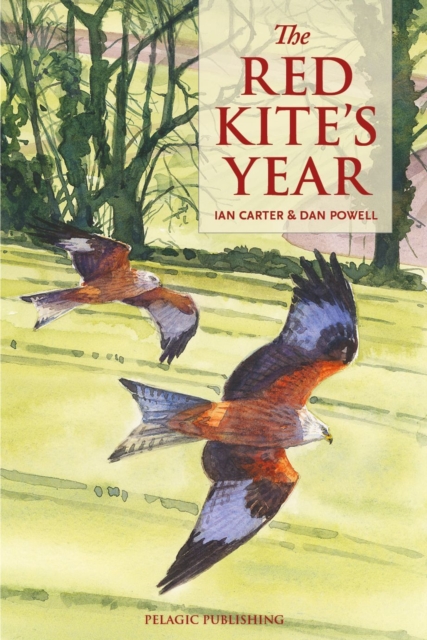 Book Cover for Red Kite's Year by Ian Carter