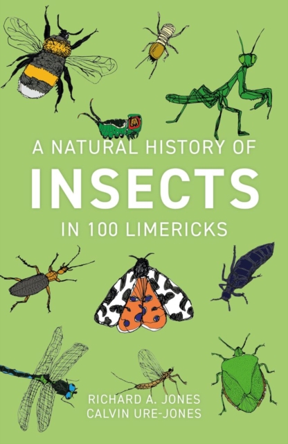 Book Cover for Natural History of Insects in 100 Limericks by Richard Jones