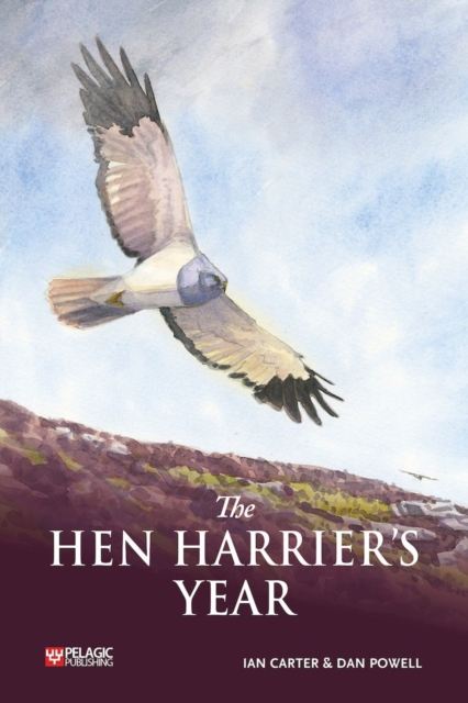 Book Cover for Hen Harrier's Year by Ian Carter