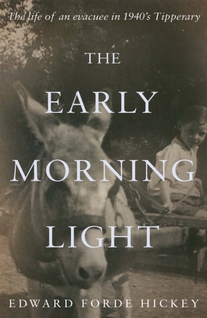 Book Cover for Early Morning Light by Edward Forde Hickey