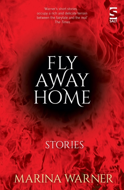 Book Cover for Fly Away Home by Marina Warner