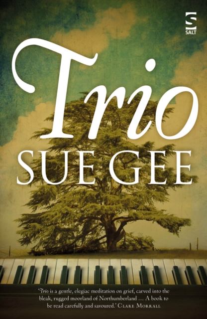 Book Cover for Trio by Sue Gee