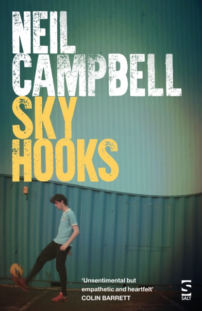 Book Cover for Sky Hooks by Campbell, Neil