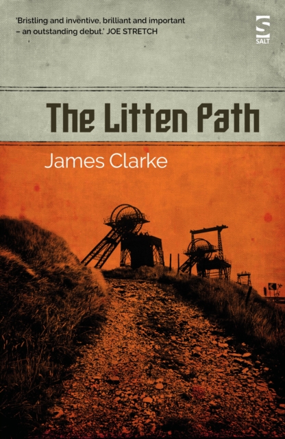 Book Cover for Litten Path by James Clarke