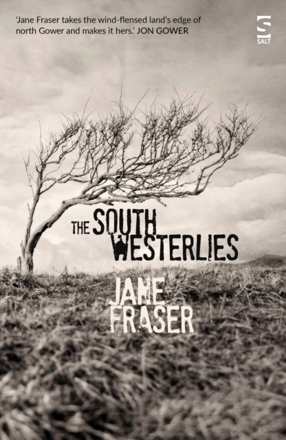 Book Cover for South Westerlies by Jane Fraser