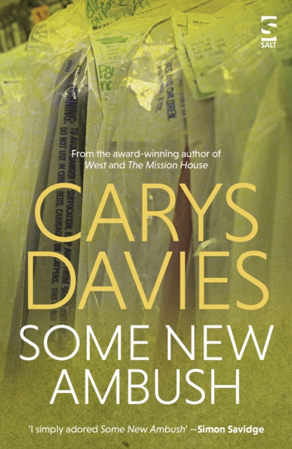 Book Cover for Some New Ambush by Carys Davies