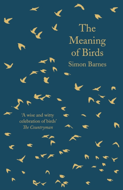 Meaning of Birds