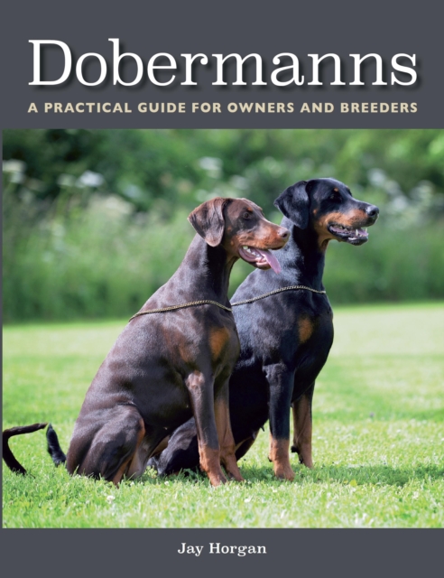 Book Cover for Dobermanns by Jay Horgan