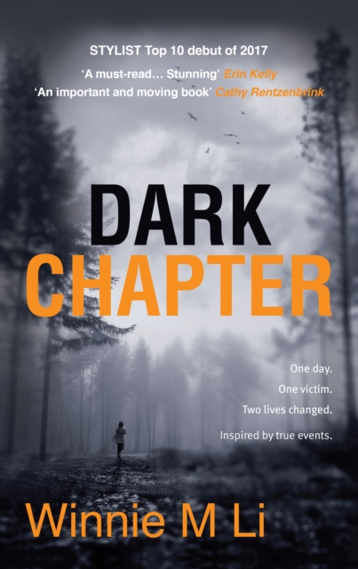 Book Cover for Dark Chapter: Hard-hitting crime fiction based on a true story by Winnie M. Li