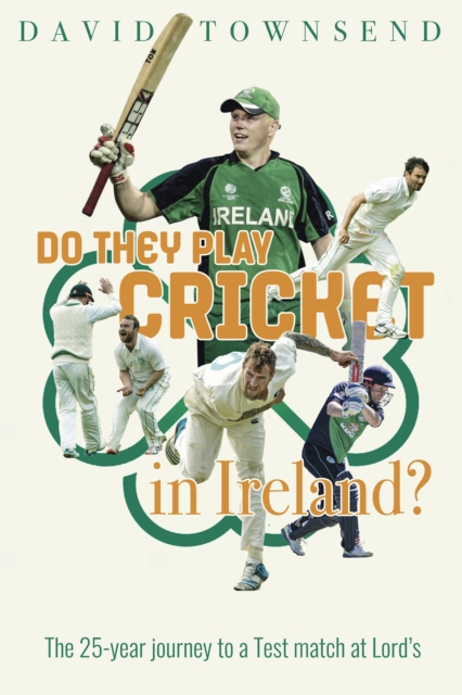 Book Cover for Do They Play Cricket in Ireland? by David Townsend