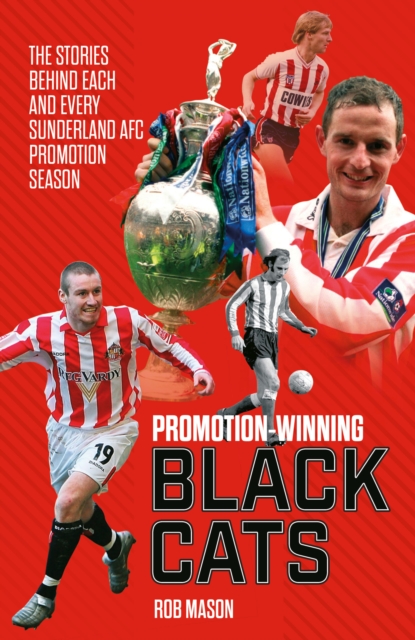 Book Cover for Promotion Winning Black Cats by Rob Mason